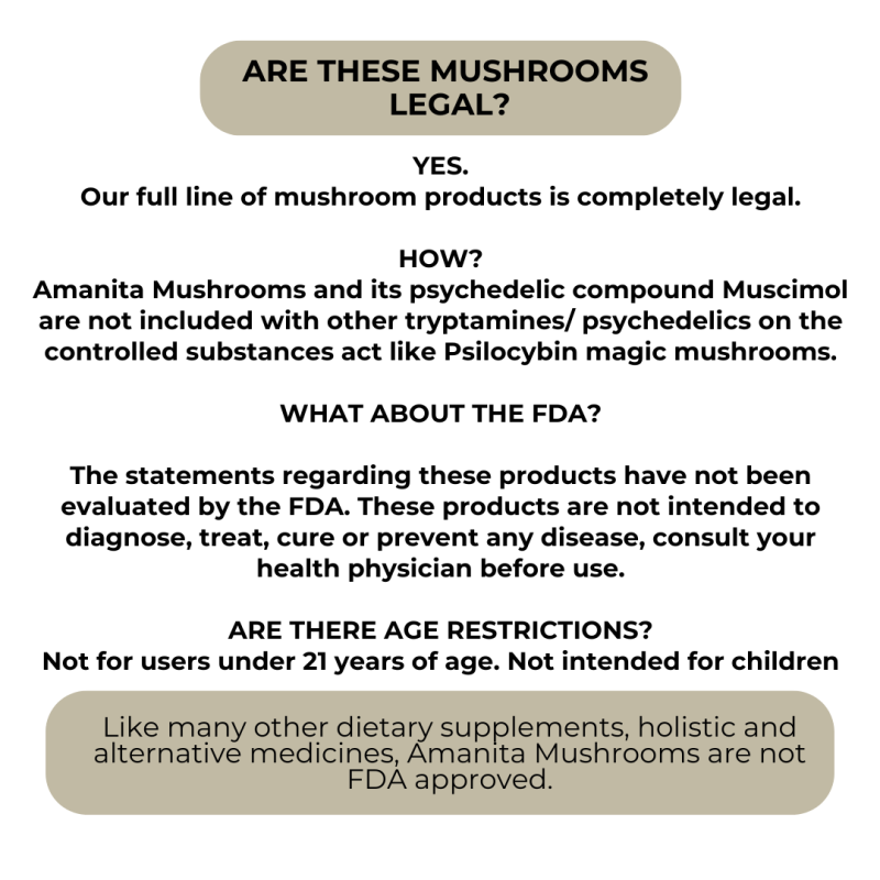Energizing Microdose Gummies for Focus and Awareness - Image 8