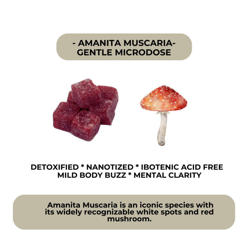 Gentle Microdose Gummies for Mental Clarity - Image 3
