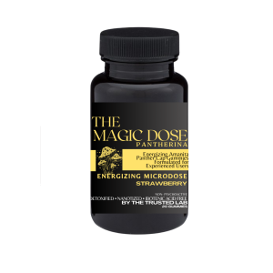 Energizing Microdose Gummies for Focus and Awareness