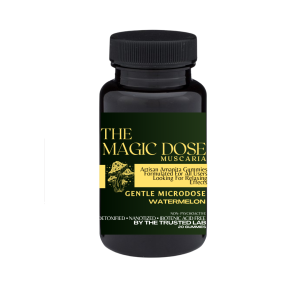 Gentle Microdose Gummies for Mental Clarity