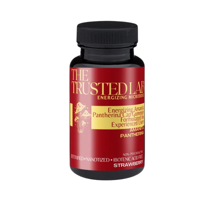 Energizing Microdose Gummies for Focus and Awareness