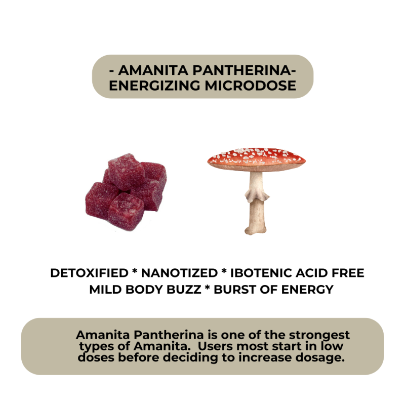 Energizing Microdose Gummies for Focus and Awareness - Image 3