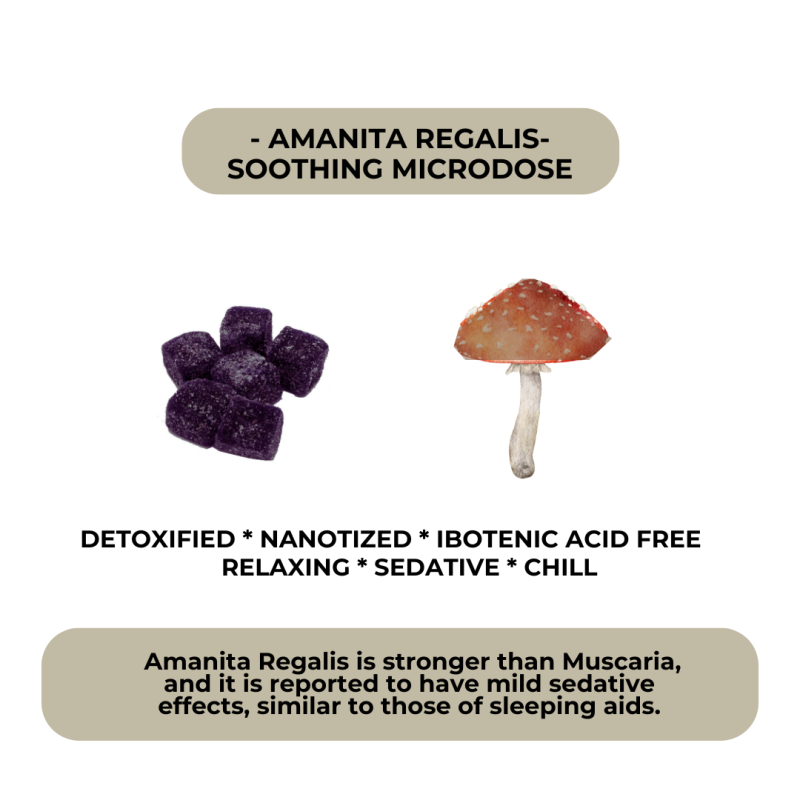 Soothing Microdose Gummies for Sleep - Image 3
