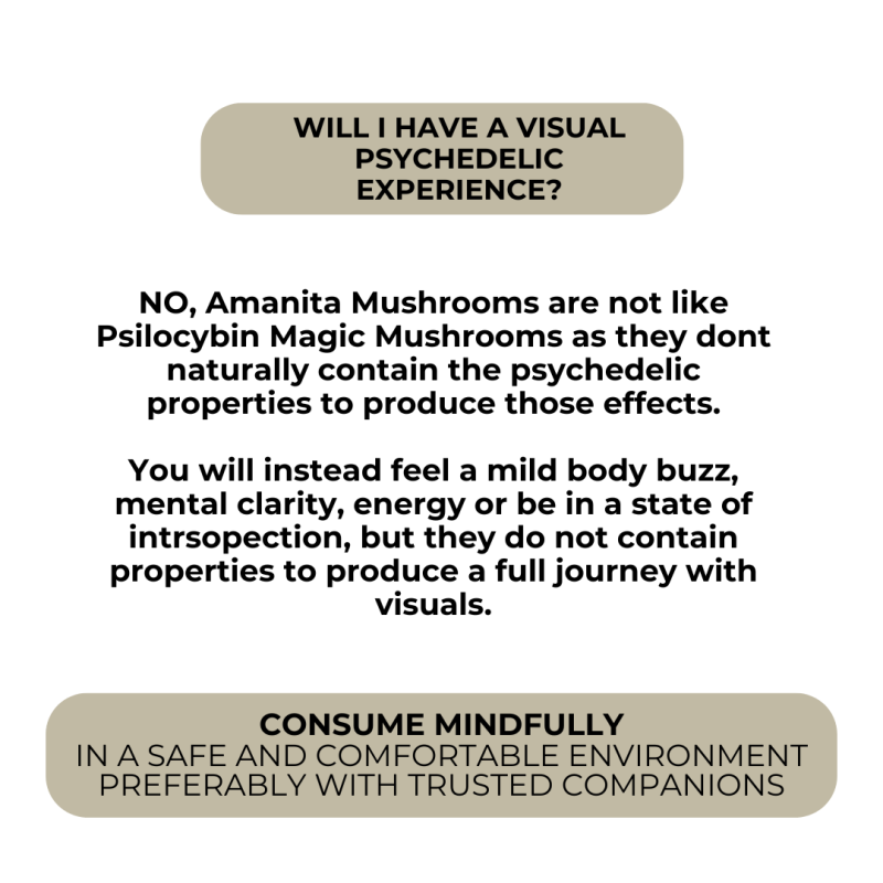 Energizing Microdose Gummies for Focus and Awareness - Image 9