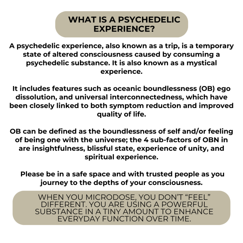 The Sage - Introspective Magic Blend Gummies - Image 7