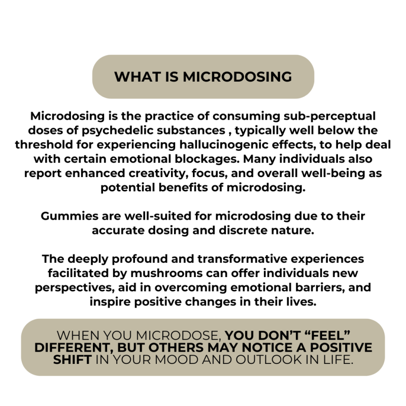 The Sage - Introspective Magic Blend Gummies - Image 6