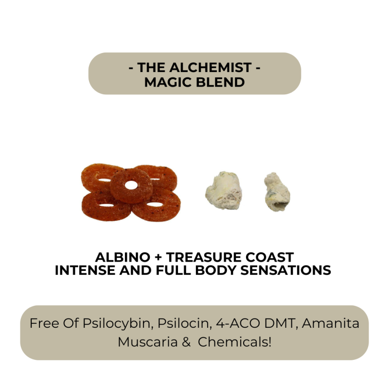 The Alchemist - Full Magic Journey Blend Gummies - Image 3