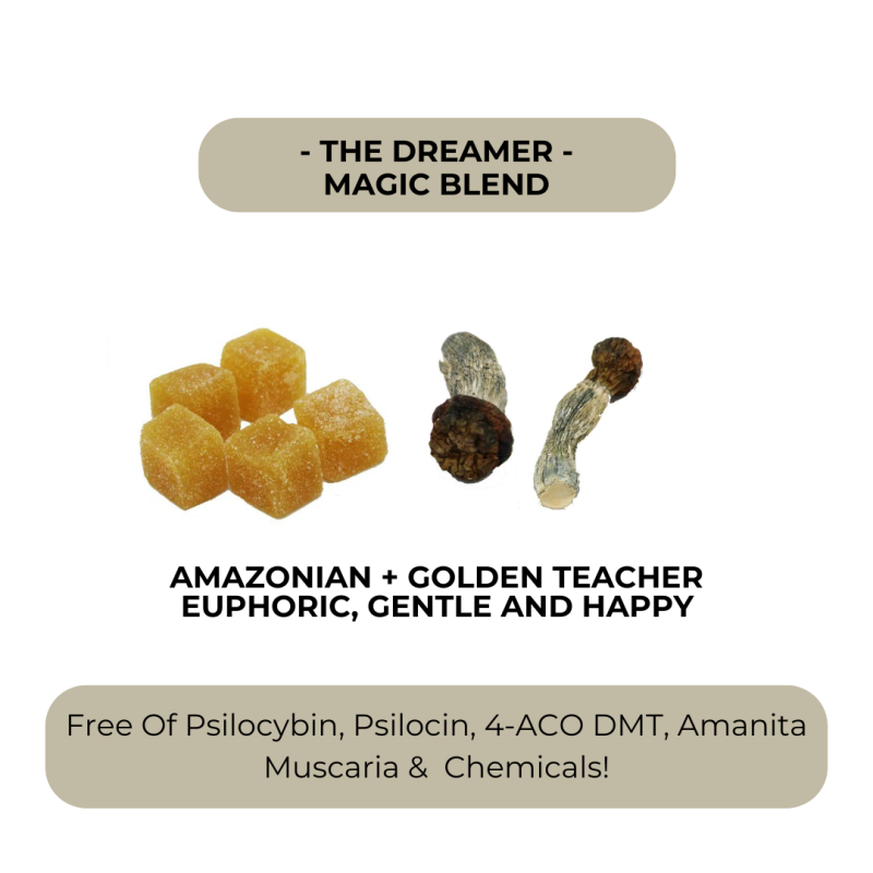 The Dreamer - Euphoric Magic Blend Gummies - Image 3