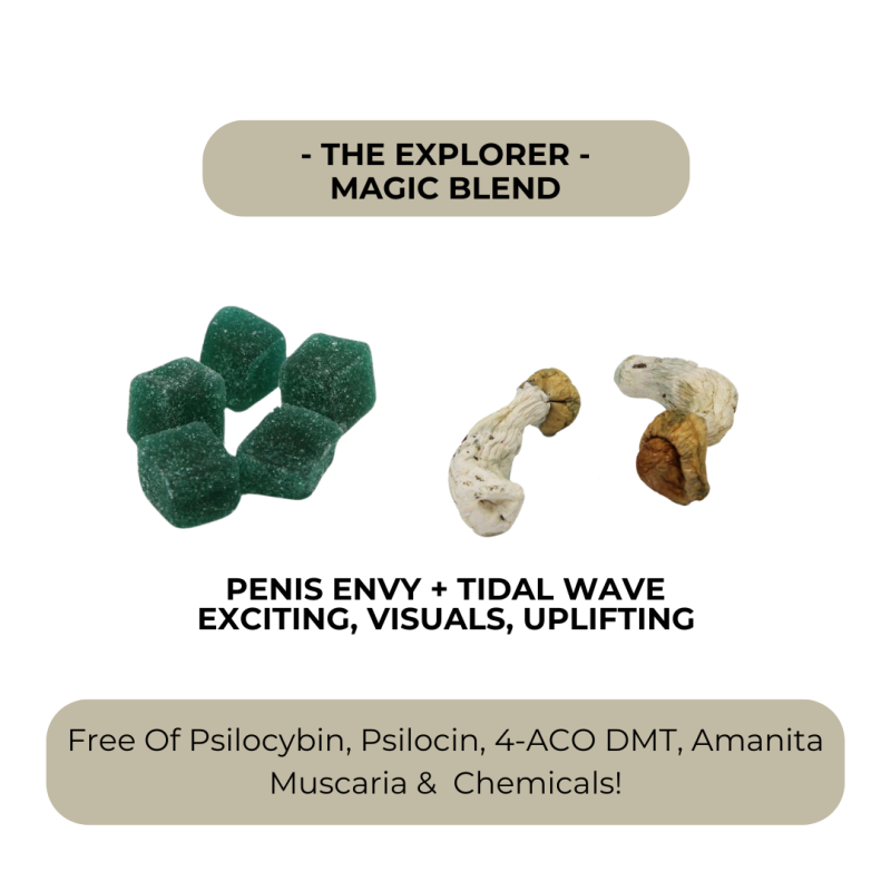 The Explorer - Uplifting Magic Gummies - Image 3