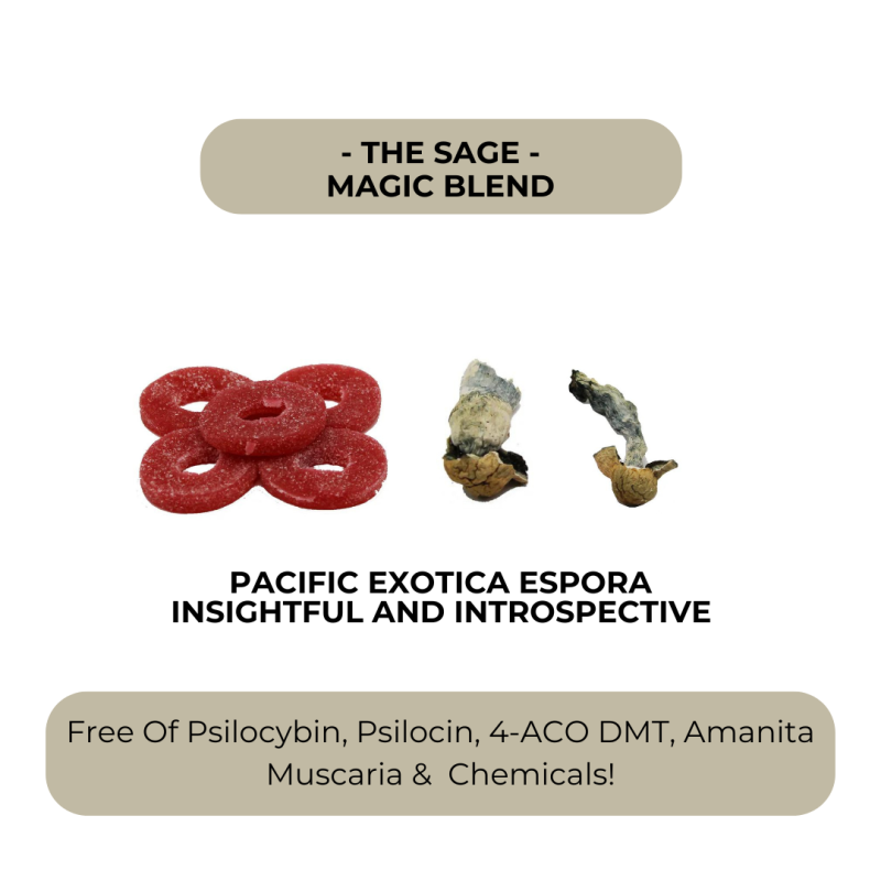 The Sage - Introspective Magic Blend Gummies - Image 3