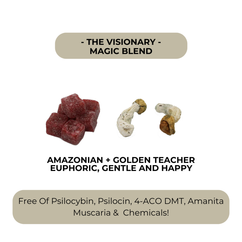The Visionary - Creator Magic Blend Gummies - Image 3