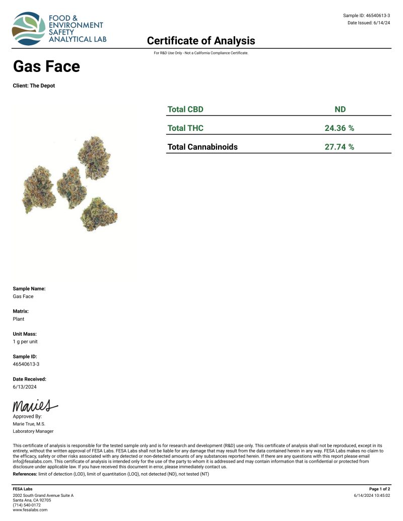 Limited Edition Premium THC-A Gas Face - Image 2