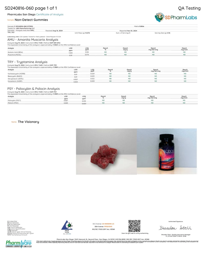 The Visionary - Creator Magic Blend Gummies - Image 9
